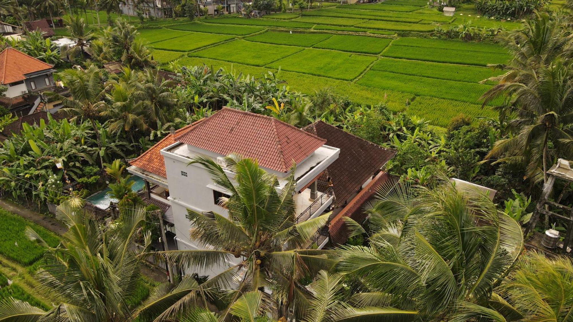 Nirwa 1 Ubud Guesthouse Zewnętrze zdjęcie