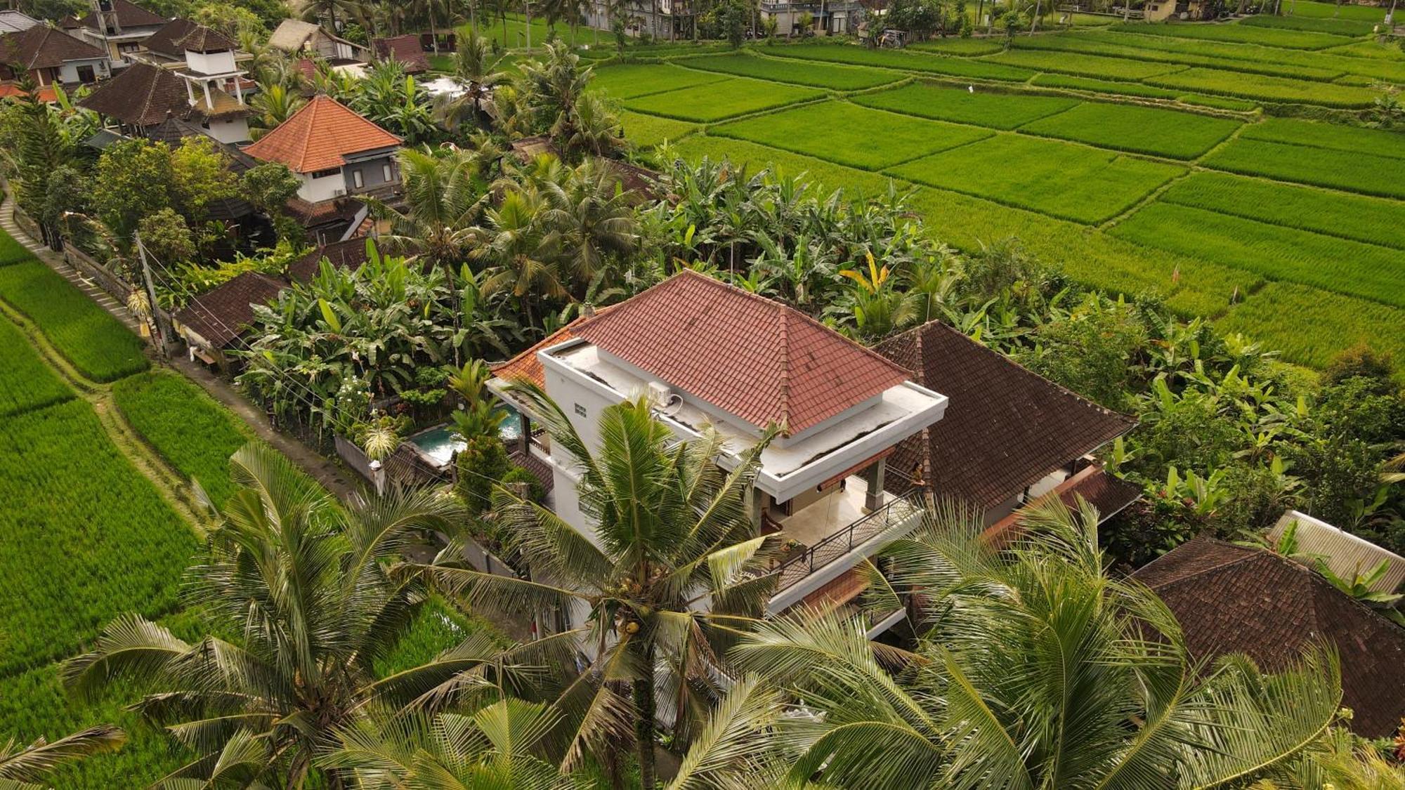 Nirwa 1 Ubud Guesthouse Zewnętrze zdjęcie